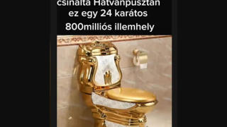Fact Check: These Photos Do NOT Show PM Orban's Golden Toilet