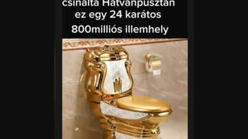 Fact Check: These Photos Do NOT Show PM Orban's Golden Toilet