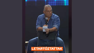 Tényellenőrzés: NEM tartóztattak le 284 kiskorú lányt emberölés miatt Svédországban