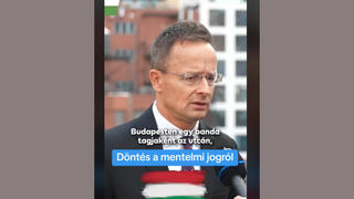 Tényellenőrzés: A magyar hatóságok NEM terrorizmussal vádolják Ilaria Salis olasz politikust