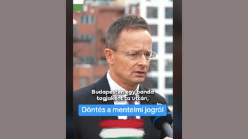 Tényellenőrzés: A magyar hatóságok NEM terrorizmussal vádolják Ilaria Salis olasz politikust