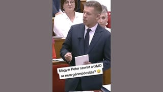 Tényellenőrzés: Magyar Péter NEM állította, hogy a GMO nem génmódosítás